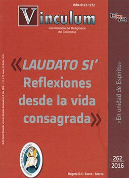 caratulavinculum 262